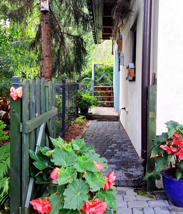 Apartament Drozdzikowka Żywiec エクステリア 写真