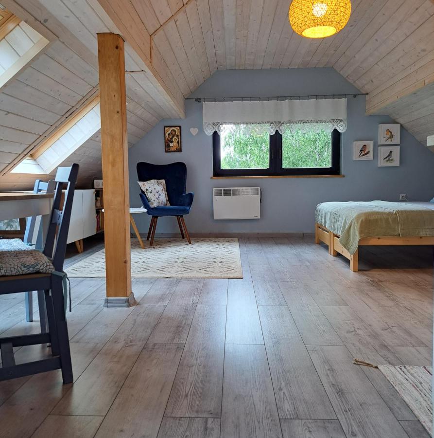 Apartament Drozdzikowka Żywiec エクステリア 写真