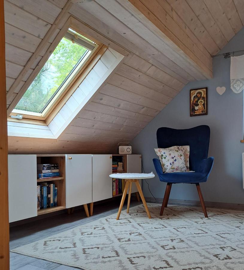 Apartament Drozdzikowka Żywiec エクステリア 写真